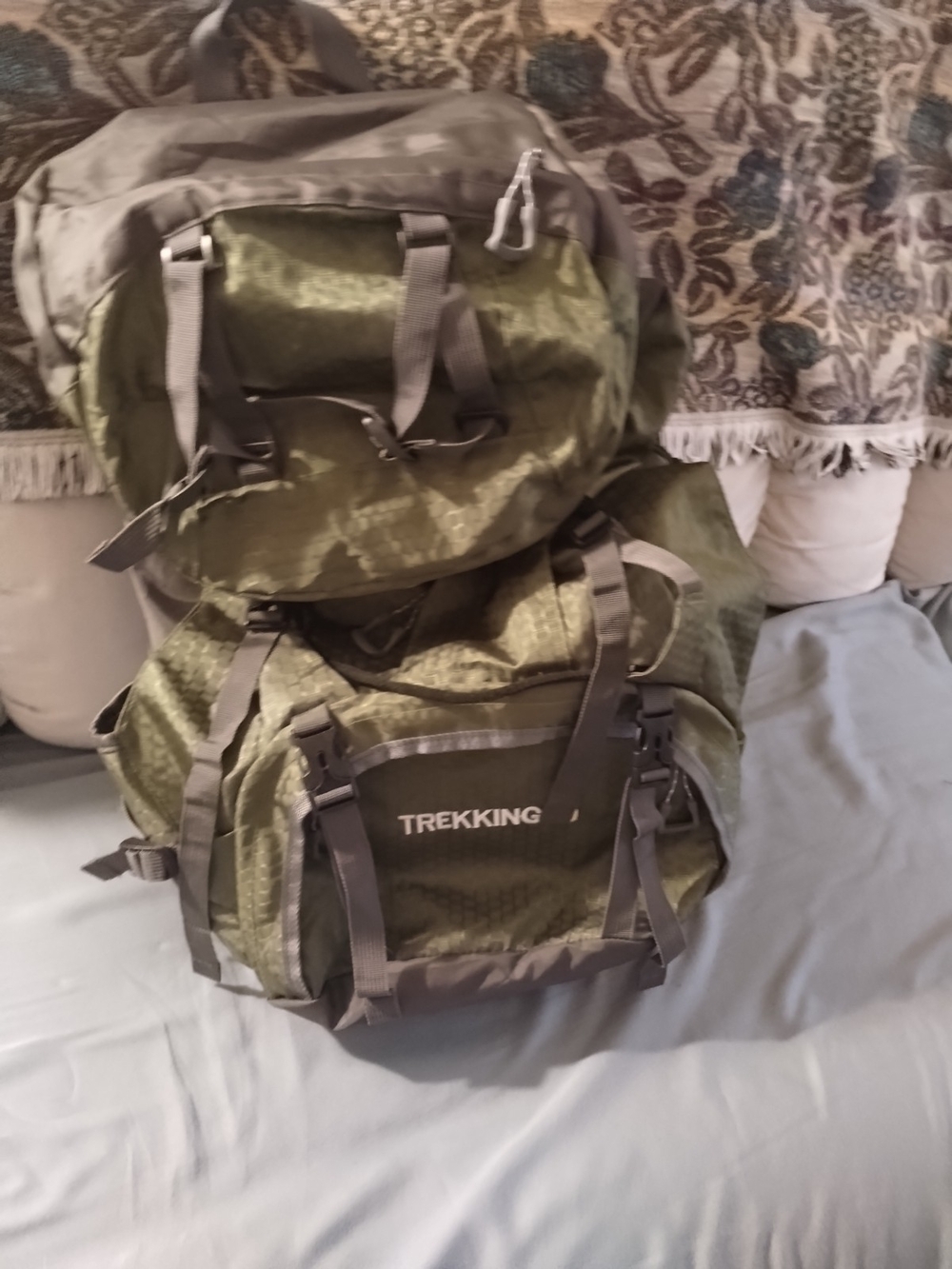 Trekking Olive Green Men's Backpack  Multiple Compartments &  Straps Sz 10 X 21
